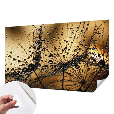 3D fototapetas su subtiliu drabužio motyvu