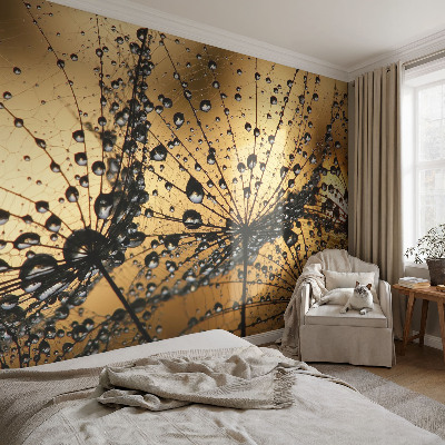 3D fototapetas Subtilus drabužis