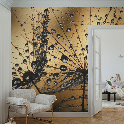 3D fototapetas Subtilus drabužis