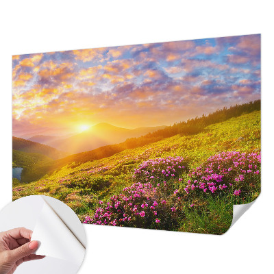 Savaime lipnus fototapetas su Bjergvestas raštu
