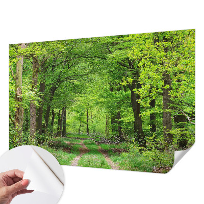 3D fototapetas su Skovsti motyvu