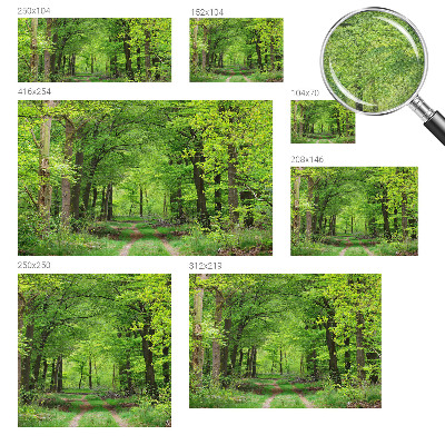 3D fototapetas su Skovsti motyvu