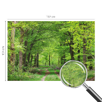 3D fototapetas su Skovsti motyvu