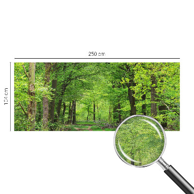 3D fototapetas su Skovsti motyvu
