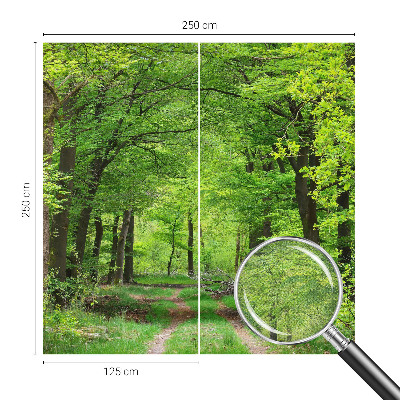 3D fototapetas Skovsti