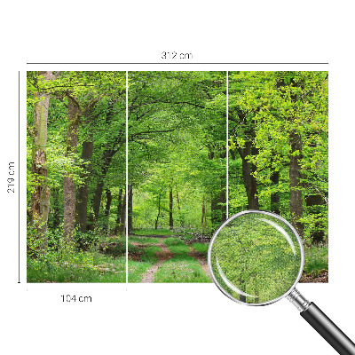 3D fototapetas su Skovsti motyvu