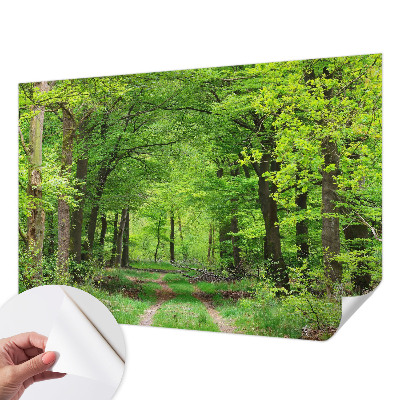 3D fototapetas su Skovsti motyvu