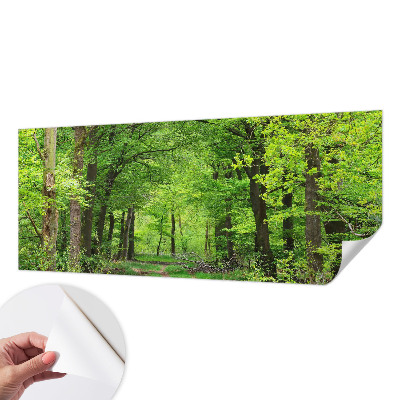 3D fototapetas su Skovsti motyvu
