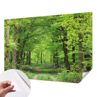 3D fototapetas su Skovsti motyvu
