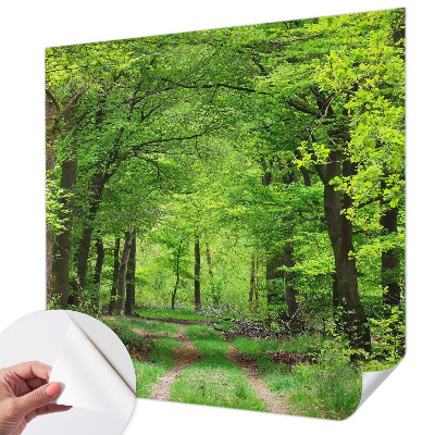 3D fototapetas su Skovsti motyvu