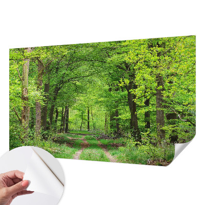 3D fototapetas su Skovsti motyvu