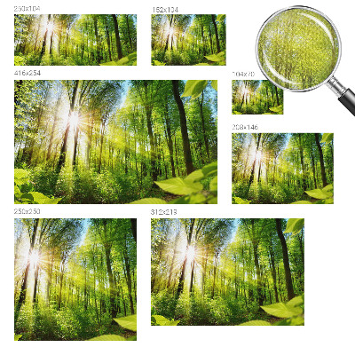 3D fototapetas sienoms su Skovlys motyvu