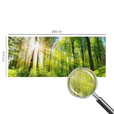 3D fototapetas sienoms Skovlys