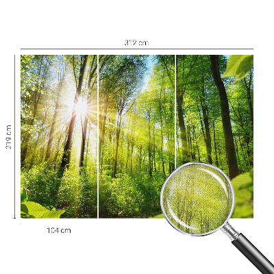3D fototapetas sienoms su Skovlys motyvu