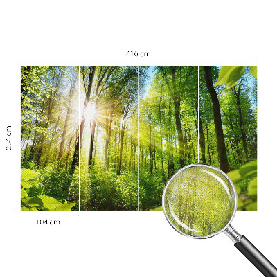 3D fototapetas sienoms su Skovlys motyvu