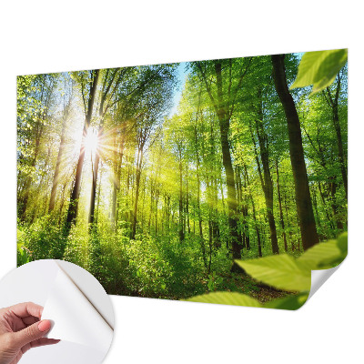 3D fototapetas sienoms Skovlys