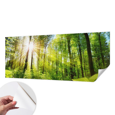 3D fototapetas sienoms Skovlys