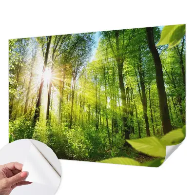 3D fototapetas sienoms su Skovlys motyvu