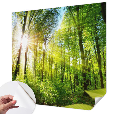 3D fototapetas sienoms Skovlys
