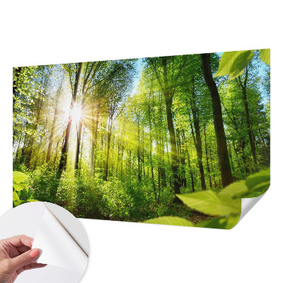 3D fototapetas sienoms Skovlys