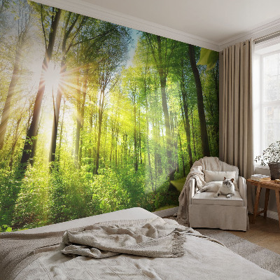 3D fototapetas sienoms su Skovlys motyvu