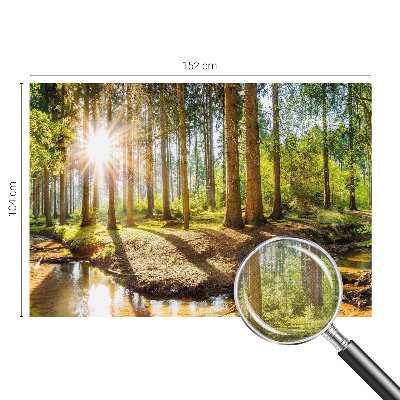 Fototapetas vaikams Skovidyl