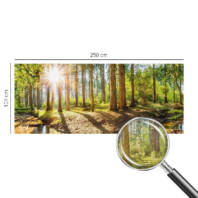 Fototapetas vaikams Skovidyl