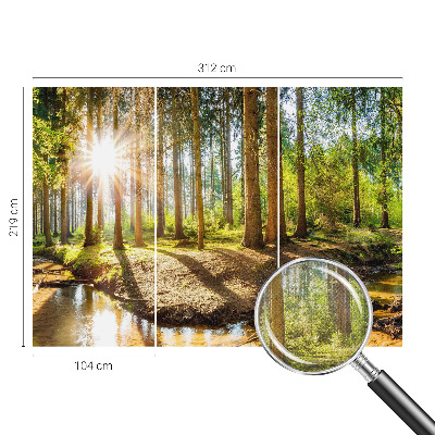 Fototapetas vaikams Skovidyl