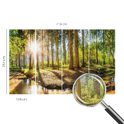 Fototapetas vaikams Skovidyl