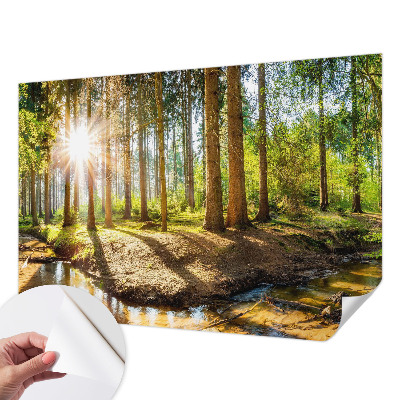 Fototapetas vaikams Skovidyl