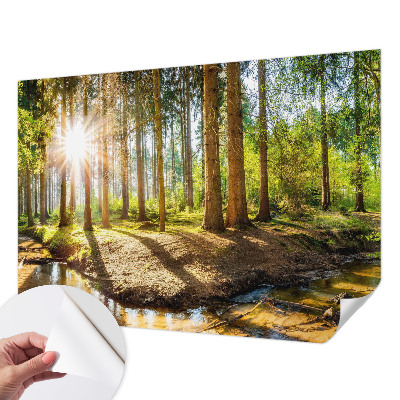 Fototapetas vaikams Skovidyl