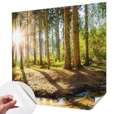 Fototapetas vaikams Skovidyl