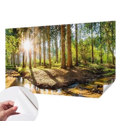 Fototapetas vaikams Skovidyl