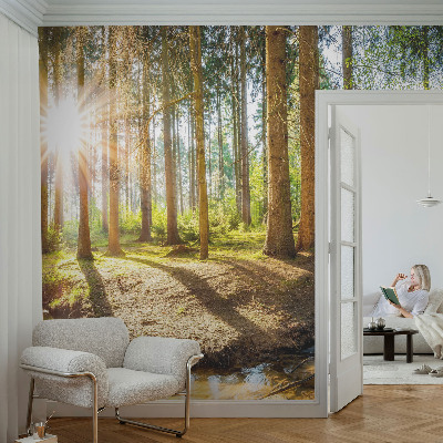 Fototapetas vaikams su „Skovidyl“ motyvu