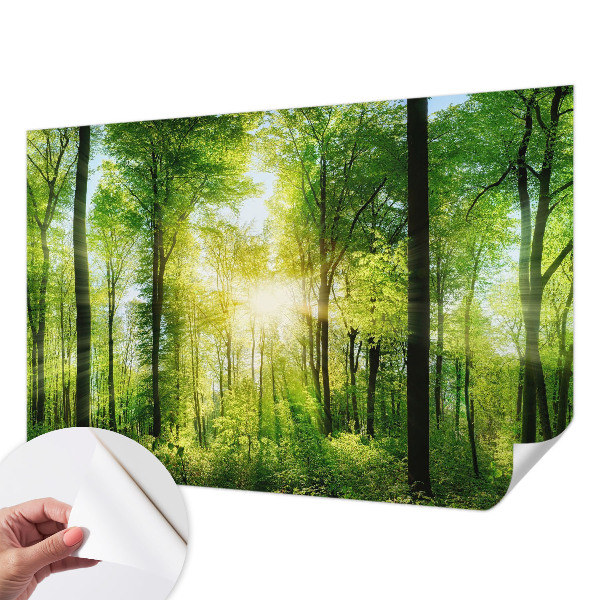 Savaime lipnus fototapetas su Skovharmoni raštu