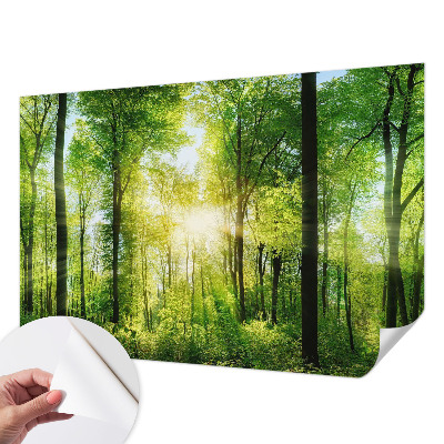 Savaime lipnus fototapetas su Skovharmoni raštu