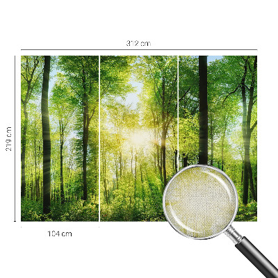 Savaime lipnus fototapetas su Skovharmoni raštu