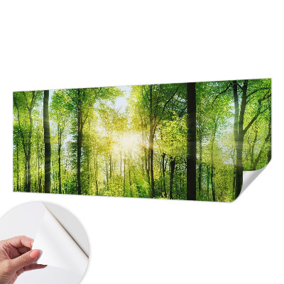 Savaime lipnus fototapetas Skovharmoni