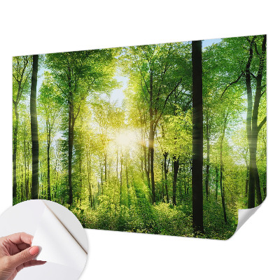 Savaime lipnus fototapetas su Skovharmoni raštu