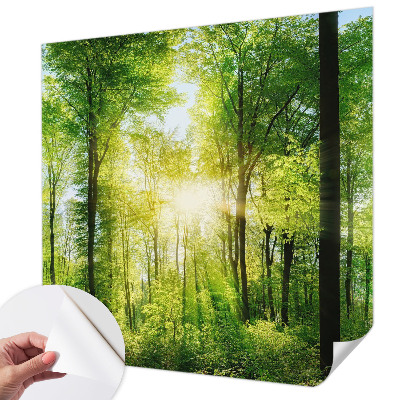 Savaime lipnus fototapetas su Skovharmoni raštu