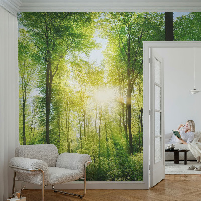 Savaime lipnus fototapetas su Skovharmoni raštu
