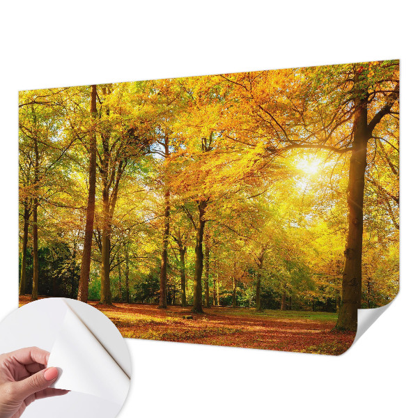 3D fototapetas sienoms su gildine blyškia tekstūra