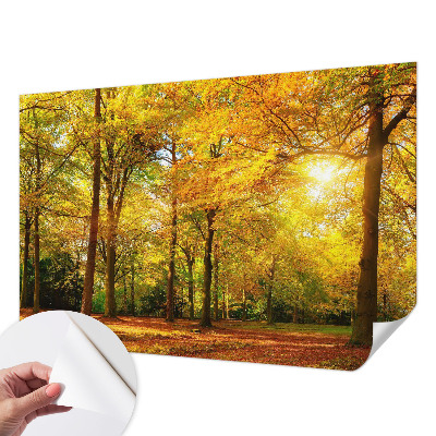 3D fototapetas sienoms su gildine blyškia tekstūra