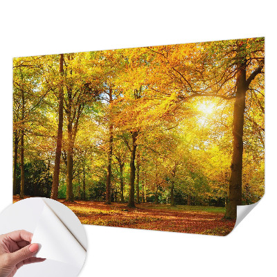 3D fototapetas sienoms su gildine blyškia tekstūra