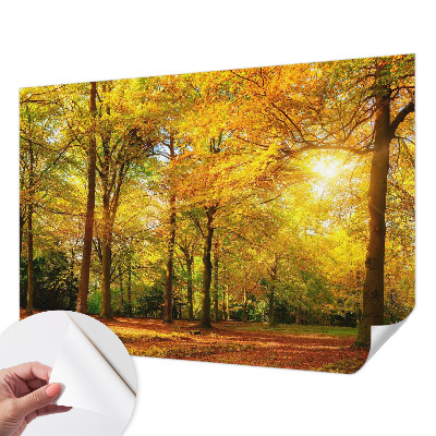 3D fototapetas sienoms su gildine blyškia tekstūra