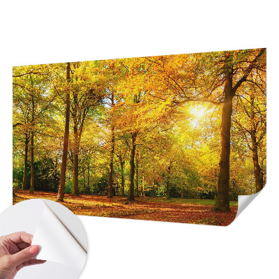 3D fototapetas sienoms su gildine blyškia tekstūra