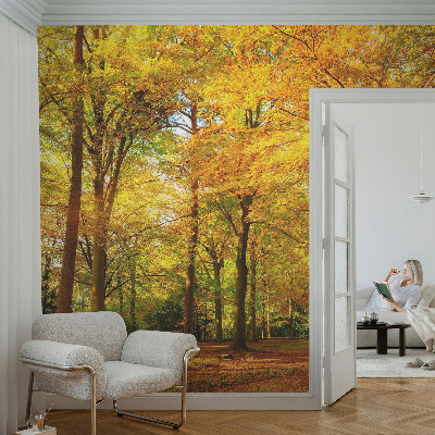 3D fototapetas sienoms Gildne blyški
