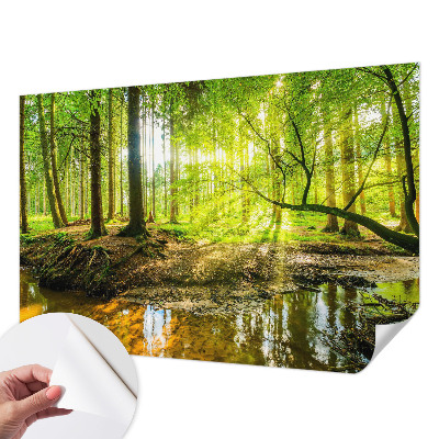 Fototapetas vaikams su žaliu kraštovaizdžiu