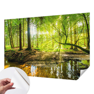 Fototapetas vaikams su žaliu kraštovaizdžiu