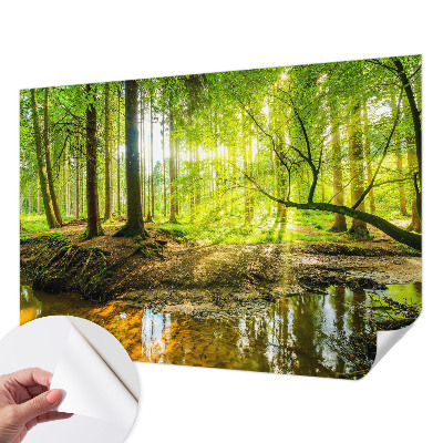 Fototapetas vaikams su žaliu kraštovaizdžiu